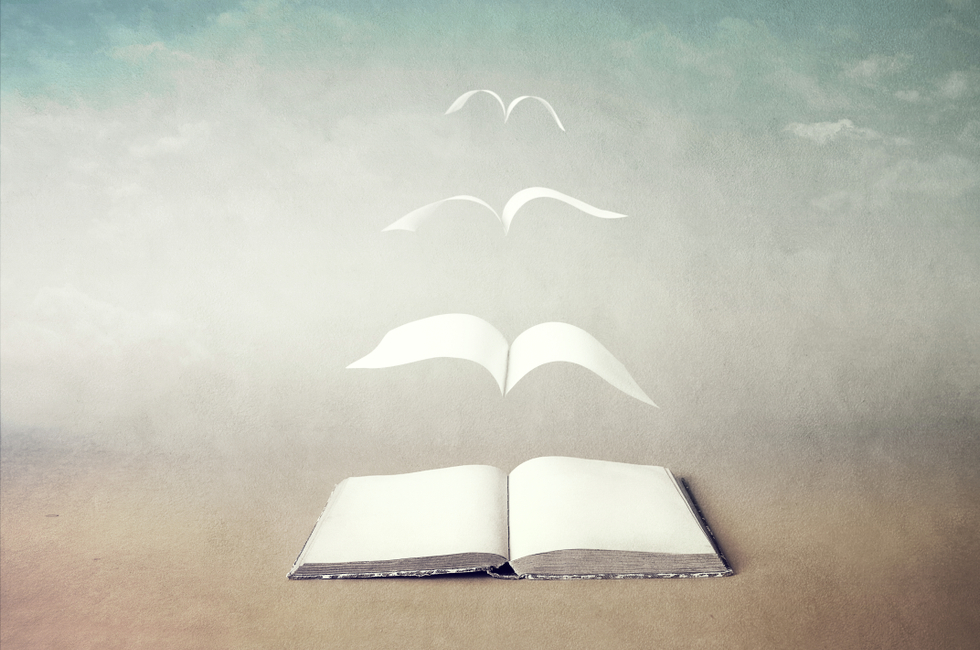 Header Image